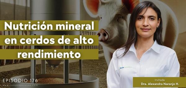 Cerdocast #176: Nutrición mineral en cerdos de alto rendimiento - Image 1