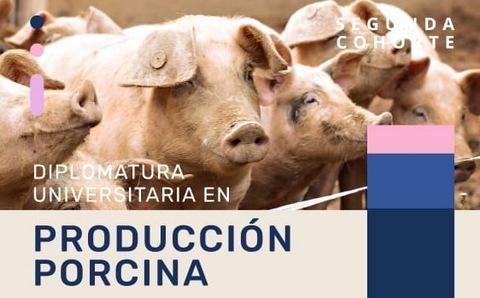 Argentina - Diplomatura Universitaria en Producción Porcina - Image 1