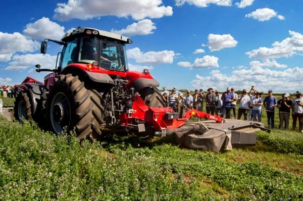 Argentina - ¿Cómo producir alfalfa de calidad? - Image 2