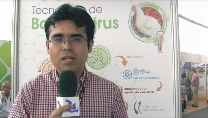 Tecnología de Baculovirus para aplicar en aves