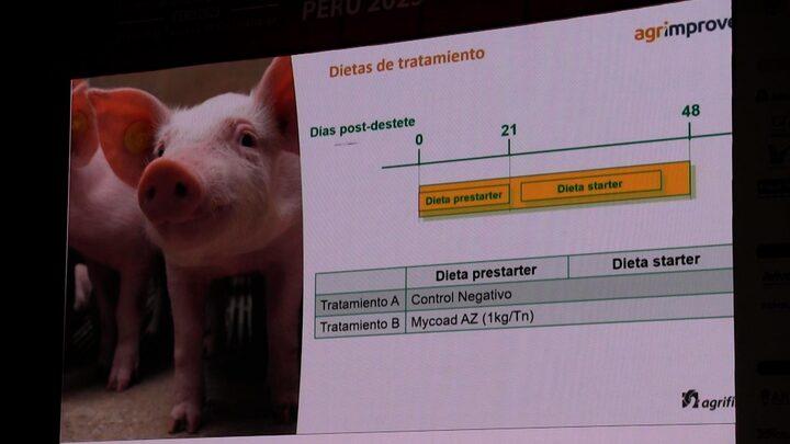 Estudios in vitro y en vivo en Endotoxinas