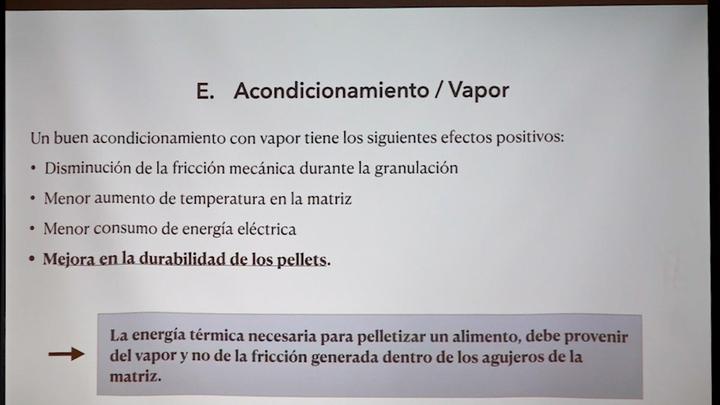 Factores que influyen en el PDI: Acondicionamiento y Vapor