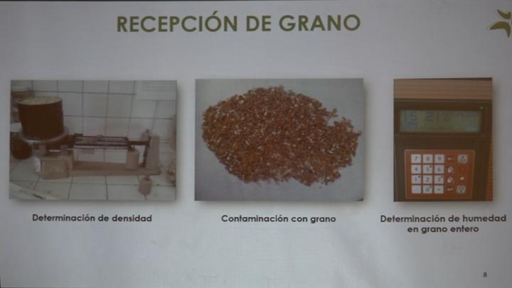 Recepción de grano en planta de alimentos balanceados