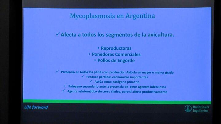 Mycoplasmosis aviar y su control