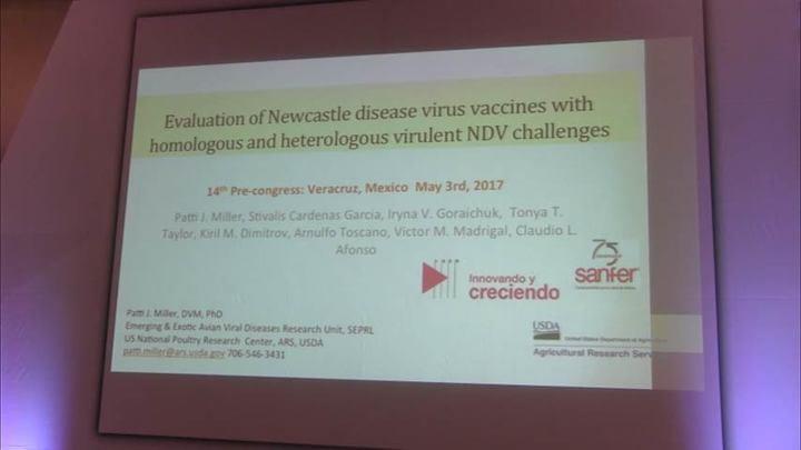 Newcastle, Evaluación de las vacunas del virus: Dra. Patti Miller