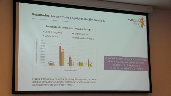 Uso de fitogénicos únicos como anticoccidiales en pollos de engorde