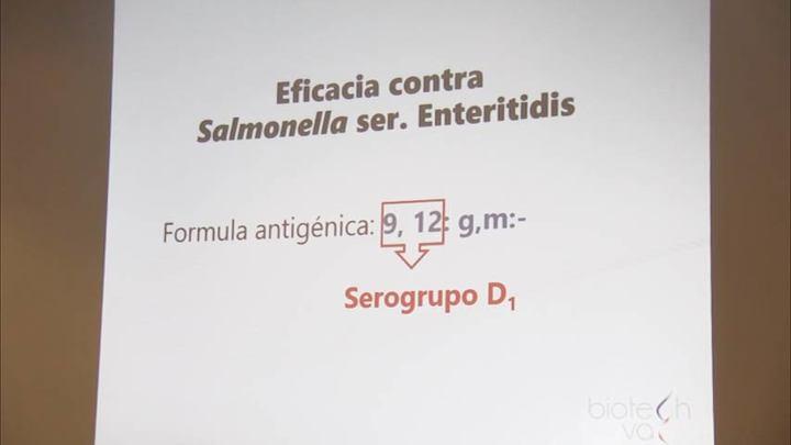 Pruebas oficiales de eficacia de Biotech Vac Salmonella. Eficacia contra S enteritidis