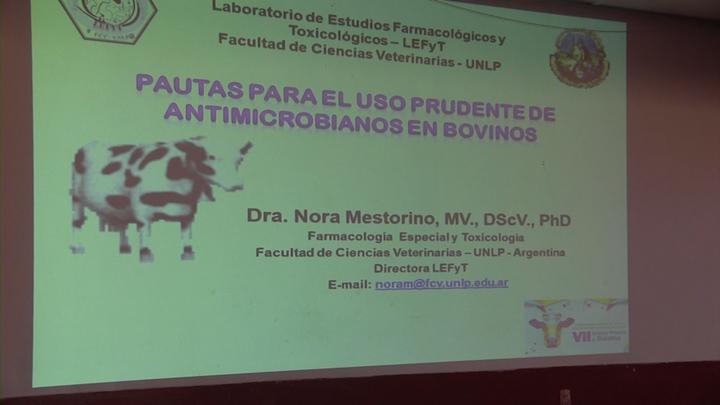 Pautas para el uso prudente de los antimicrobianos