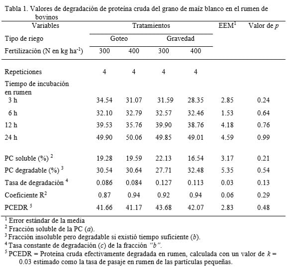 Degradación ruminal de proteína cruda de maíz cultivado con diferentes niveles de nitrógeno y técnicas de riego - Image 1