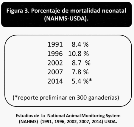 Bienestar en becerras: transiciones desde el periodo perinatal hasta el destete - Image 3