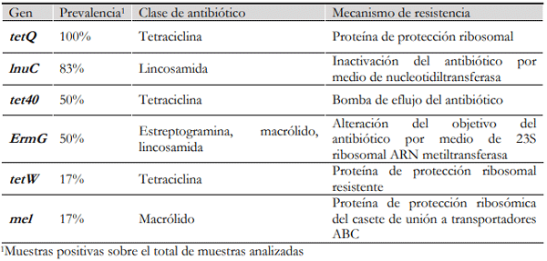 Cuadro 1. Variantes de genes de resistencia encontradas en las heces de vacunos en pastoreo