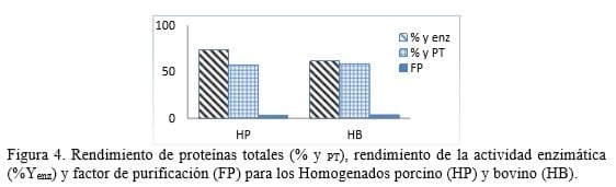 Manual de procedimientos metodológico de obtención y purificación de proteasas a partir de desechos de matadero - Image 5