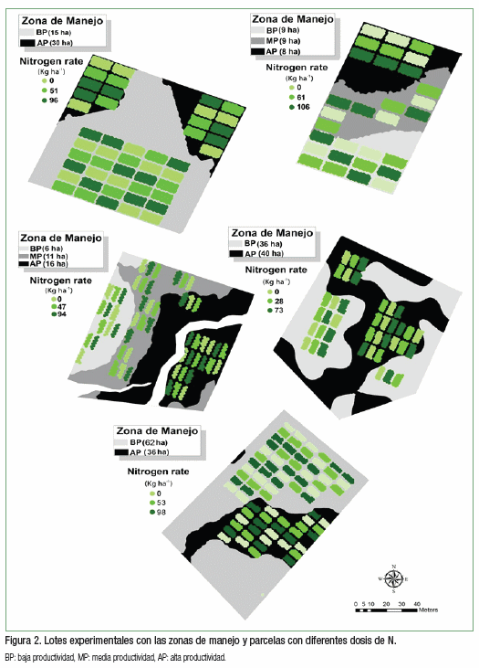 Delimitación de zonas de manejo: una herramienta para mejorar el manejo de nitrógeno en trigo - Image 5