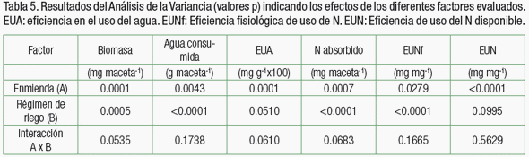 Biomasa y aprovechamiento de agua y nitrógeno de raigrás en un Haplustol éntico tratado con residuos de feed lot y zeolitas - Image 4