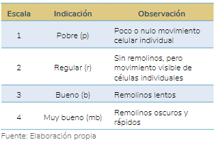 Tabla 4. Calificación descriptiva del movimiento en masa