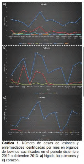 Frecuencia de lesiones macro y microscópicas en corazón, hígado y pulmón de ganado de engorda durante la inspección post-mortem en rastro - Image 1