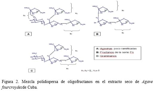 Aditivo nutracéutico obtenido a partir de los fructanos de Agave fourcroydes (LEM.) - Image 2
