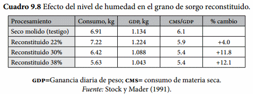 Procesamiento de los granos - Image 8