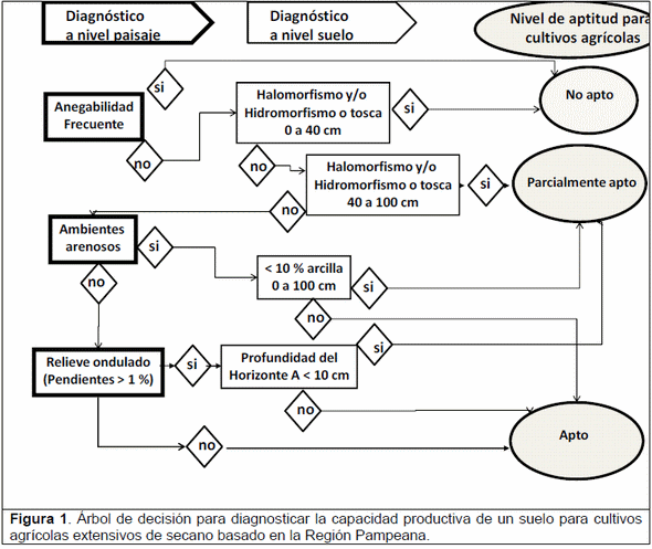 Árbol de decisión para diagnosticar la aptitud de uso agrícola de los suelos - Image 1