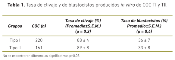 Producción in vitro de embriones a partir de complejos cúmulos oocitos tipo II en bovinos Bos indicus - Image 2