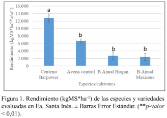 SOCHIPA - EVALUACIÓN DE NUEVAS ESPECIES Y CULTIVARES DE GRAMINEAS ANUALES Y PERENNES PARA LOS SISTEMAS GANADEROS DE MAGALLANES - Image 2