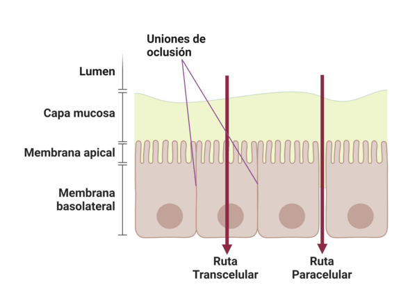 EFECTO DE LOS PRODUCTOS HERBANOPLEX® CP Y UNIWALL® MOS 25 EN LA PERMEABILIDAD INTESTINAL DE GALLINAS HISEX BROWN EN UN SISTEMA DE PRODUCCIÓN CAGE-FREE - Image 1
