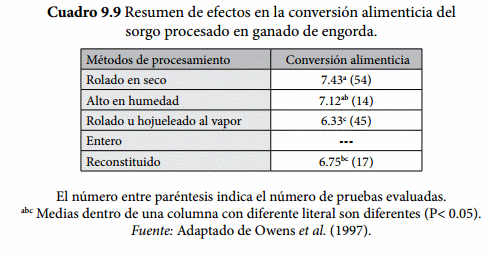 Procesamiento de los granos - Image 9