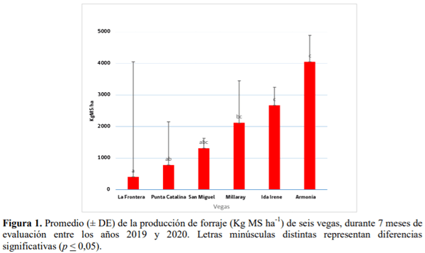 SOCHIPA - EVALUACIÓN PRELIMINAR DE LA PRODUCCIÓN DE FORRAJE DE VEGAS DE USO GANADERO EN TIERRA DEL FUEGO - Image 1