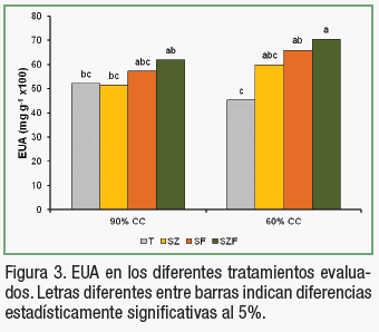 Biomasa y aprovechamiento de agua y nitrógeno de raigrás en un Haplustol éntico tratado con residuos de feed lot y zeolitas - Image 8