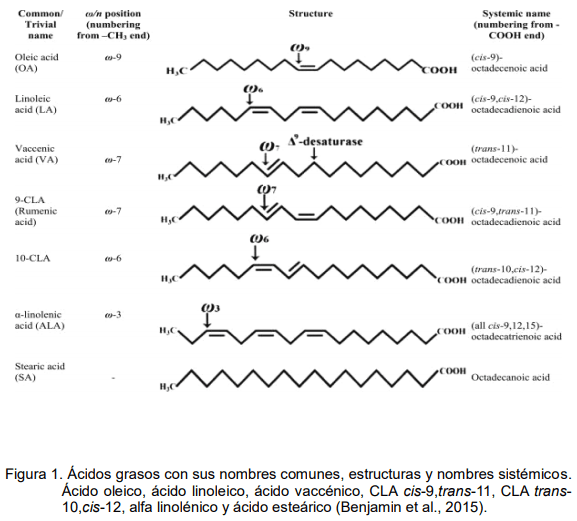 El empleo del ácido linoleico conjugado (CLA) en rumiantes - Image 1