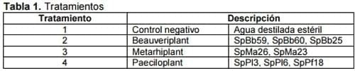 Determinación de la patogenicidad y virulencia de mezcla de cepas de Beauveria Bassiana, Metarhizium Anisopliae y Paecilomyces Fumosoroseus sobre el psilido Diaphorina citri vector de la enfermedad HLB de los cítricos - Image 1