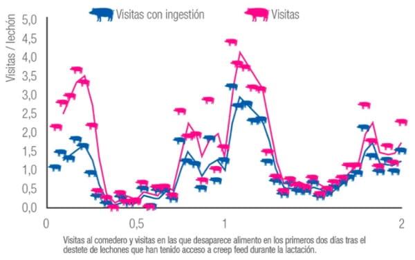 El arte de alimentar desde el inicio - Image 5