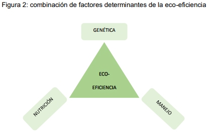 Rol de la gestión de datos en la ganadería eco-eficiente - Image 2