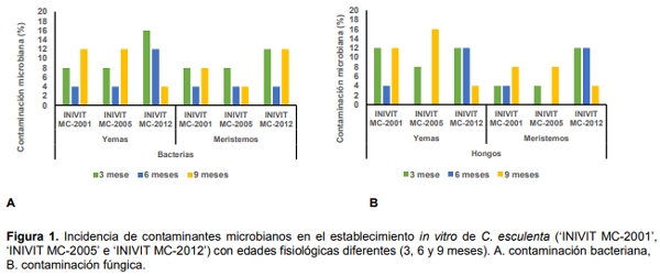 Influencia de la edad fisiológica de la planta donante sobre contaminantes microbianos en la micropropagacion de Colocasia Esculenta (l.) Schott - Image 1