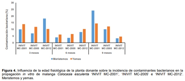 Influencia de la edad fisiológica de la planta donante sobre contaminantes microbianos en la micropropagacion de Colocasia Esculenta (l.) Schott - Image 5