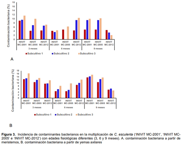 Influencia de la edad fisiológica de la planta donante sobre contaminantes microbianos en la micropropagacion de Colocasia Esculenta (l.) Schott - Image 3