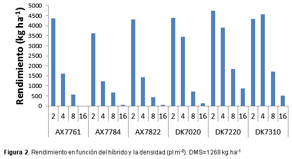 Maíz: genotipo y densidad de siembra en ambientes restrictivos - Image 3