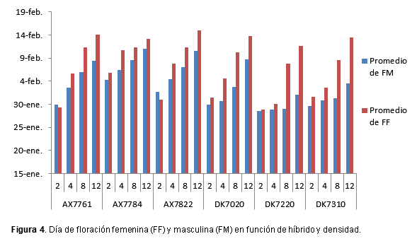 Maíz: genotipo y densidad de siembra en ambientes restrictivos - Image 5