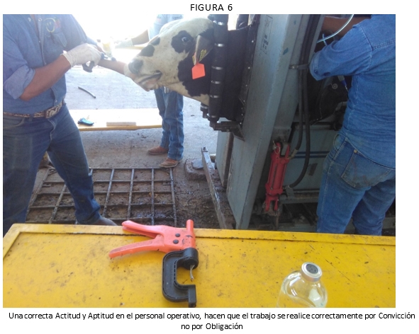 El capital humano base de la rentabilidad en el negocio de la carne - Image 7