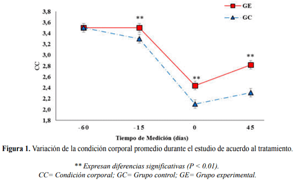 Efecto de la zeolita sobre retorno de la actividad ovárica, involución y salud uterina en vacas lecheras postparto criadas en pastoreo - Image 4