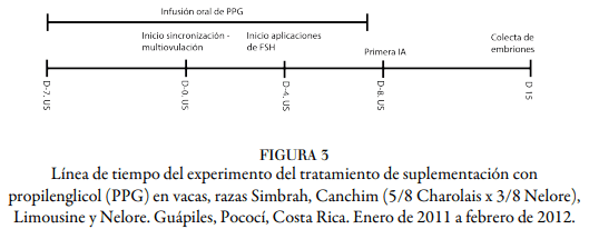 Respuesta a la suplementación con propilenglicol en vacas multiovuladas, para la producción de embriones - Image 3