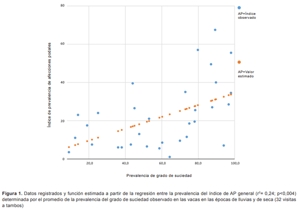 Afecciones podales e impacto productivo en rodeos lecheros del Noroeste Argentino - Image 2