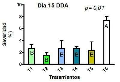 Funguicidas en un cultivo de Maíz: control de roya común del maíz - Image 2