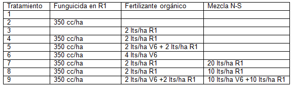 Ensayo de fertilización foliar alternativa al cultivo de soja - Image 1