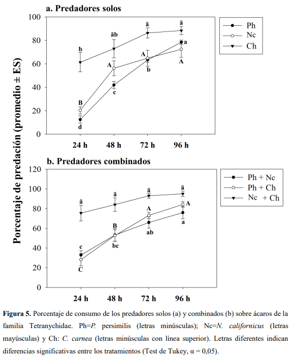 Liberación de predadores para el control de ácaros plaga en Guayacán de Manizales Lafoensia acuminata (Ruiz & Pav.) DC. (Myrtales: Lythraceae) en casa de malla - Image 6