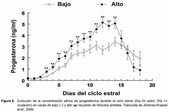 Recría de vaquillonas: período determinante de su productividad futura. - Image 6