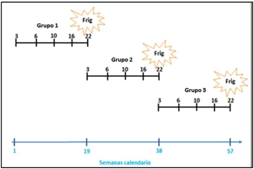 Dinamica de infección y persistencia de mycoplasma hyopneumoniae: un estudio longitudinal en piara afectada con neumonía enzoótica porcina - Image 1