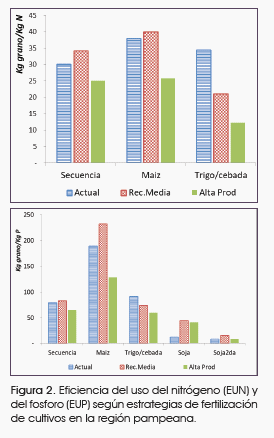 Brechas en la producción de secuencias de cultivos en la región pampeana según estrategias de fertilización. - Image 7