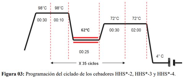Estandarización de una PCR para detectar Fowl Adenovirus tipo 4 (FADV-4) en Farvet S.A.C. - Image 13