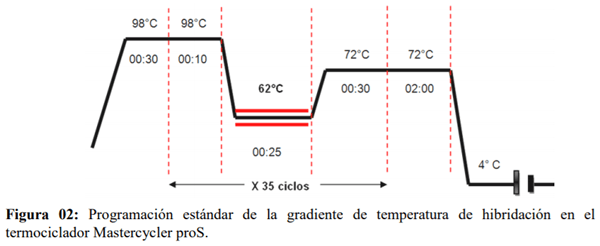 Estandarización de una PCR para detectar Fowl Adenovirus tipo 4 (FADV-4) en Farvet S.A.C. - Image 11
